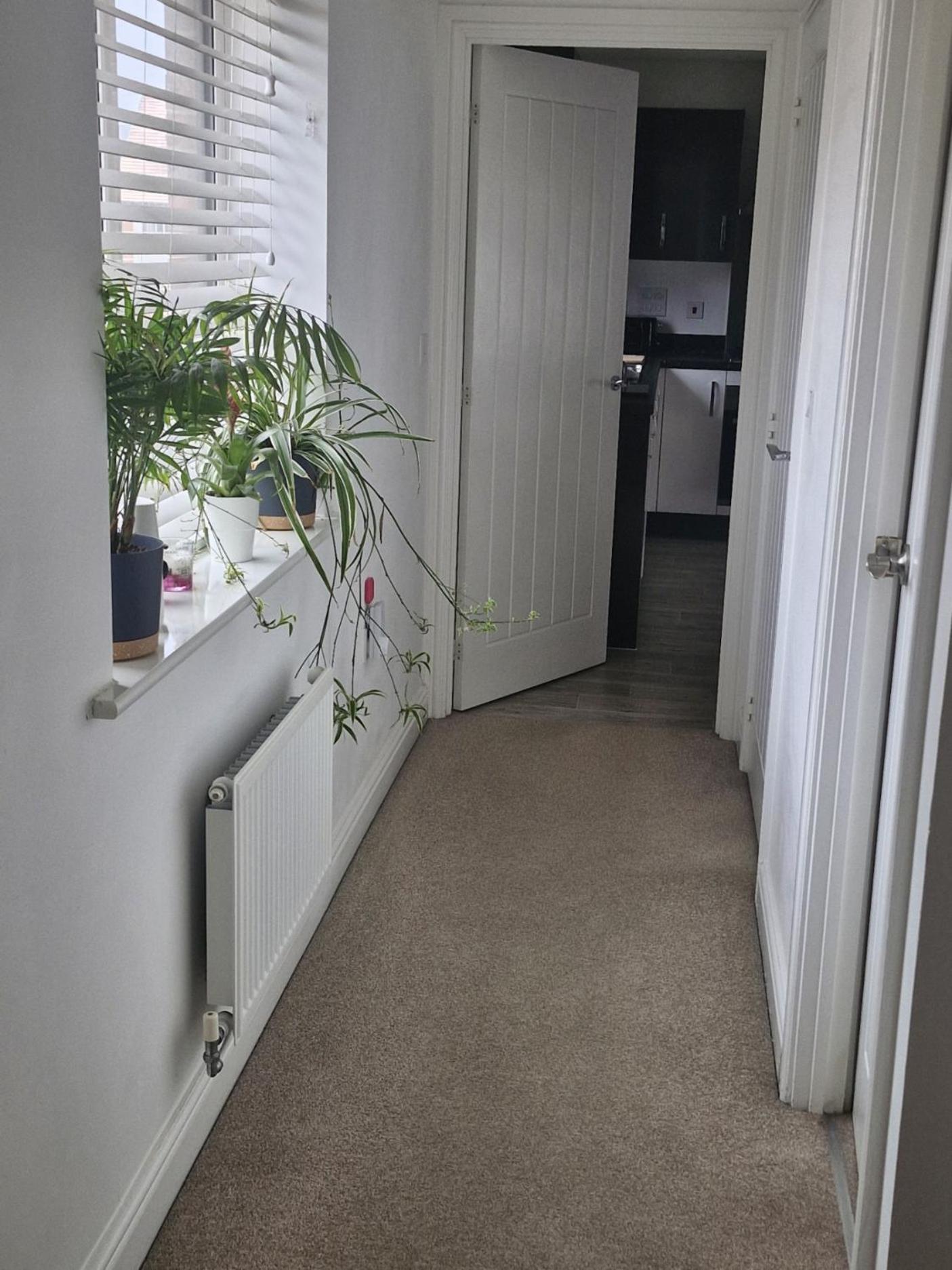Modern Double Room With En-Suite, Parking & Fast Wifi - Close To Beach Sandgate Buitenkant foto